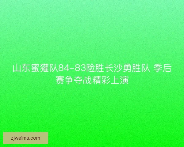 山东蜜獾队84-83险胜长沙勇胜队 季后赛争夺战精彩上演 山东蜜獾队84-83险胜长沙勇胜队 季后赛争夺战精彩上演